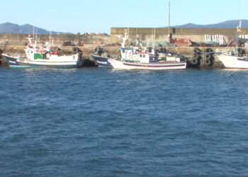 AS PREOCUPACIÓNS NO SECTOR PESQUEIRO CONTINÚAN